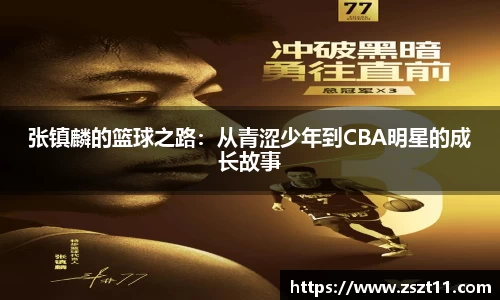 智博19