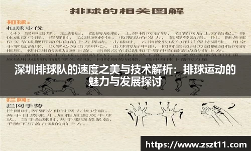 深圳排球队的速度之美与技术解析：排球运动的魅力与发展探讨