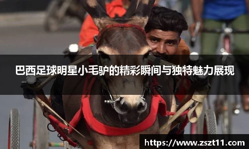 巴西足球明星小毛驴的精彩瞬间与独特魅力展现